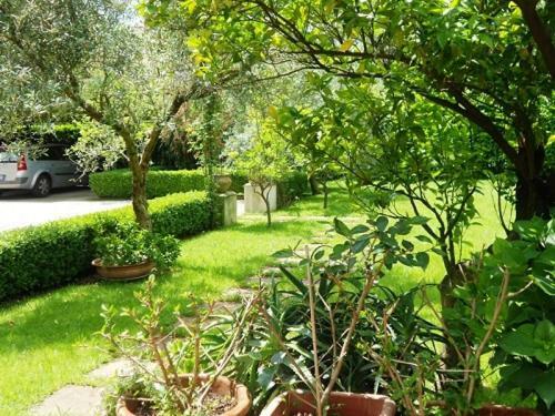 Villa Scimmia Scauri  Kültér fotó