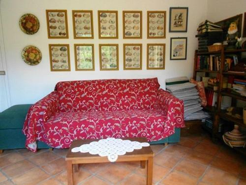 Villa Scimmia Scauri  Kültér fotó